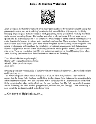 Essay On Humber Watershed
Alien species on the humber watersheds are a major ecological issue for the environment because they
prevent other native species from living/growing in their natural habitat. Alien species do this by
taking up physical space that native species need , preventing native species from reaching their food
and water and spreading disease. The humber watershed is affected in two different ways: native
species and the overall ecosystem of the watershed. invasive species on the humber watersheds have a
major threat to the biodiversity of our waters,wetlands, and marshes. These organisms that originate
from different ecosystems pose a great threat to our ecosystem because coming to our ecosystem their
natural predators can no longer keep the population s growth rate under control and that causes an
increase in population because of that devastating effects on native species, habitats, and ecosystems
may occur. There are reports that over 185 non indigenous species were found Ontario s Great lakes.
Some invading species that been found in the Great lakes are the following;
Zebra Mussel (Dreissena polymorpha)
Round Goby (Neogobius melanostomus)
Alewife (Alosa pseudoharengus)
Asian carps
Invading species can be introduced to our environment by many different ways ... Show more content
on Helpwriting.net ...
This particular species of fish has an average size of 25.cm when fully matured. There has been
reports that the Round Goby has been establishing its place in our Great Lakes and its population fully
established themselves in 1998, now they are a part of our ecosystem in Lake Ontario and the Round
Goby population has taken on the role of prey for many predator fish. The Goby s main food sources
are the following ; the zebra mussel, quagga mussel, miniatur fish, and fish eggs. The Round Goby is
now one of the most common fish in the lower Great
... Get more on HelpWriting.net ...
 