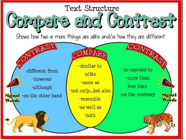 How to make a compare and contrast cats and dogs