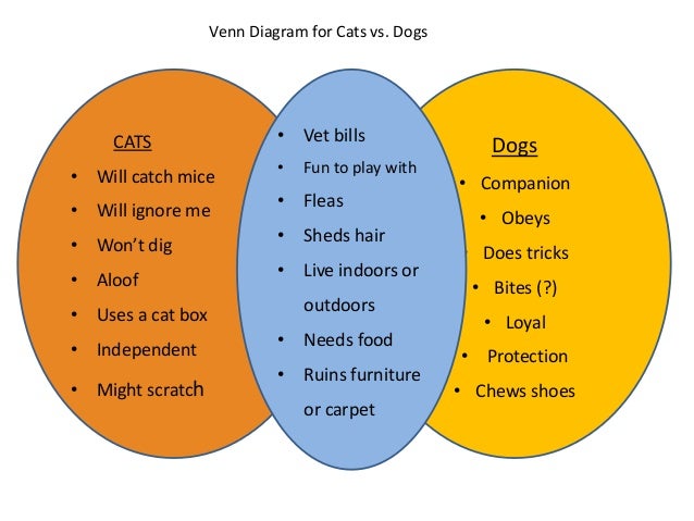 compare and contrast essay about cats and dogs