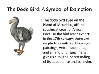 The Dodo Bird: A Symbol of Extinction
• The dodo bird lived on the
island of Mauritius, off the
southeast coast of Africa.
Because the bird went extinct
in the 17th century, there are
no photos available. Drawings,
paintings, written accounts,
and a handful of specimens
give us a rough understanding
of its appearance and behavior.
 