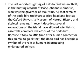 • The last reported sighting of a dodo bird was in 1688,
in the hunting records of Isaac Johannes Lamotius,
who was the governor of Mauritius. All that remains
of the dodo bird today are a dried head and foot at
the Oxford University Museum of Natural History and
skeletal remains. In recent decades, several
excavations on the island have allowed scientists to
assemble complete skeletons of the dodo bird.
Because it took so little time after human contact for
this animal to go extinct, the dodo bird has become a
symbol of the role of humans in protecting
endangered animals.
 