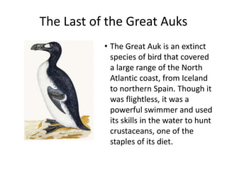 The Last of the Great Auks
• The Great Auk is an extinct
species of bird that covered
a large range of the North
Atlantic coast, from Iceland
to northern Spain. Though it
was flightless, it was a
powerful swimmer and used
its skills in the water to hunt
crustaceans, one of the
staples of its diet.
 