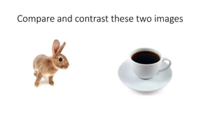 Compare and contrast these two images
 