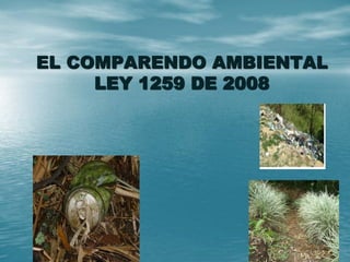 EL COMPARENDO AMBIENTAL
LEY 1259 DE 2008
 