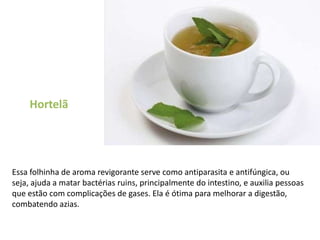HortelãEssa folhinha de aroma revigorante serve como antiparasita e antifúngica, ou seja, ajuda a matar bactérias ruins, principalmente do intestino, e auxilia pessoas que estão com complicações de gases. Ela é ótima para melhorar a digestão, combatendo azias.  
