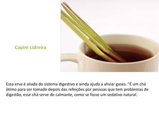 Capim cidreiraEssa erva é aliada do sistema digestivo e ainda ajuda a aliviar gases. "É um chá ótimo para ser tomado depois das refeições por pessoas que tem problemas de digestão, esse chá serve de calmante, como se fosse um sedativo natural.