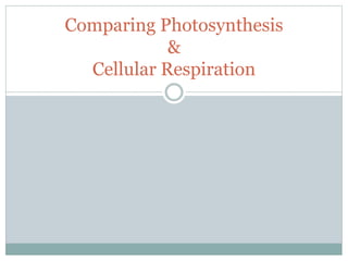 Comparing Photosynthesis
&
Cellular Respiration
 