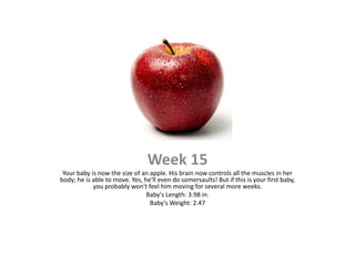 Week 15
 Your baby is now the size of an apple. His brain now controls all the muscles in her
body; he is able to move. Yes, he'll even do somersaults! But if this is your first baby,
            you probably won't feel him moving for several more weeks.
                                Baby's Length: 3.98 in.
                                 Baby's Weight: 2.47
 