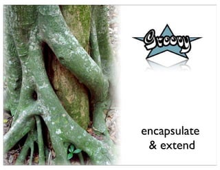 encapsulate
 & extend
 