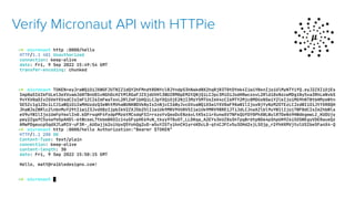 Verify Micronaut API with HTTPie
 