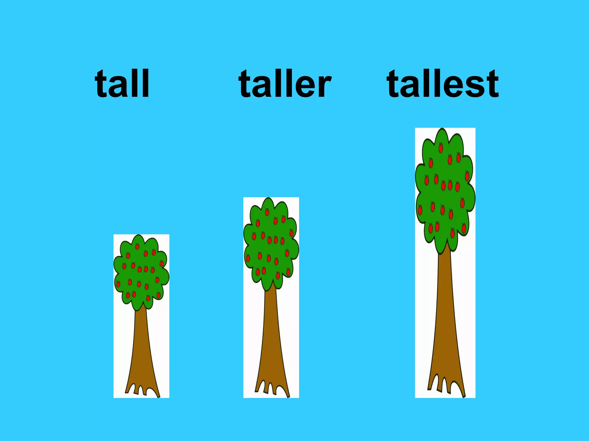 tall taller tallest
 