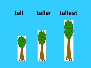 tall taller tallest
 
