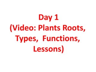 Day 1
(Video: Plants Roots,
Types, Functions,
Lessons)
 