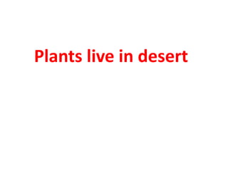 Plants live in desert
 
