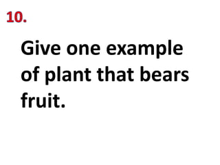 Give one example
of plant that bears
fruit.
 