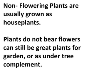Non- Flowering Plants are
usually grown as
houseplants.
Plants do not bear flowers
can still be great plants for
garden, or as under tree
complement.
 