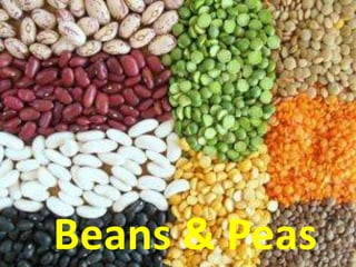 Beans & Peas
 