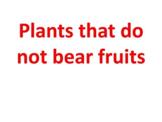 Plants that do
not bear fruits
 