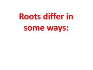 Roots differ in
some ways:
 