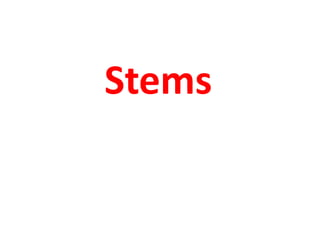 Stems
 