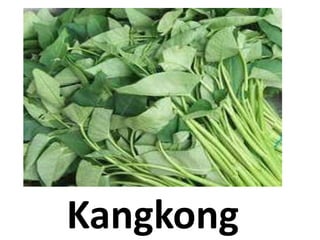 Kangkong
 