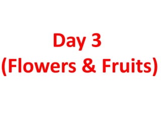 Day 3
(Flowers & Fruits)
 