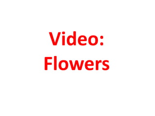 Video:
Flowers
 