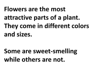 Flowers are the most
attractive parts of a plant.
They come in different colors
and sizes.
Some are sweet-smelling
while others are not.
 