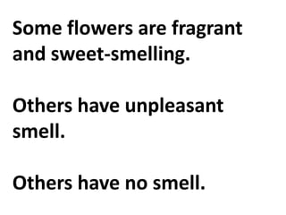 Some flowers are fragrant
and sweet-smelling.
Others have unpleasant
smell.
Others have no smell.
 