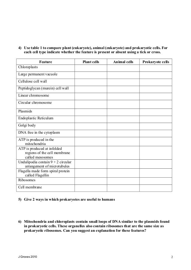 prokaryotic and eukaryotic cells worksheet answers prokaryotic and eukaryotic cells worksheet answers