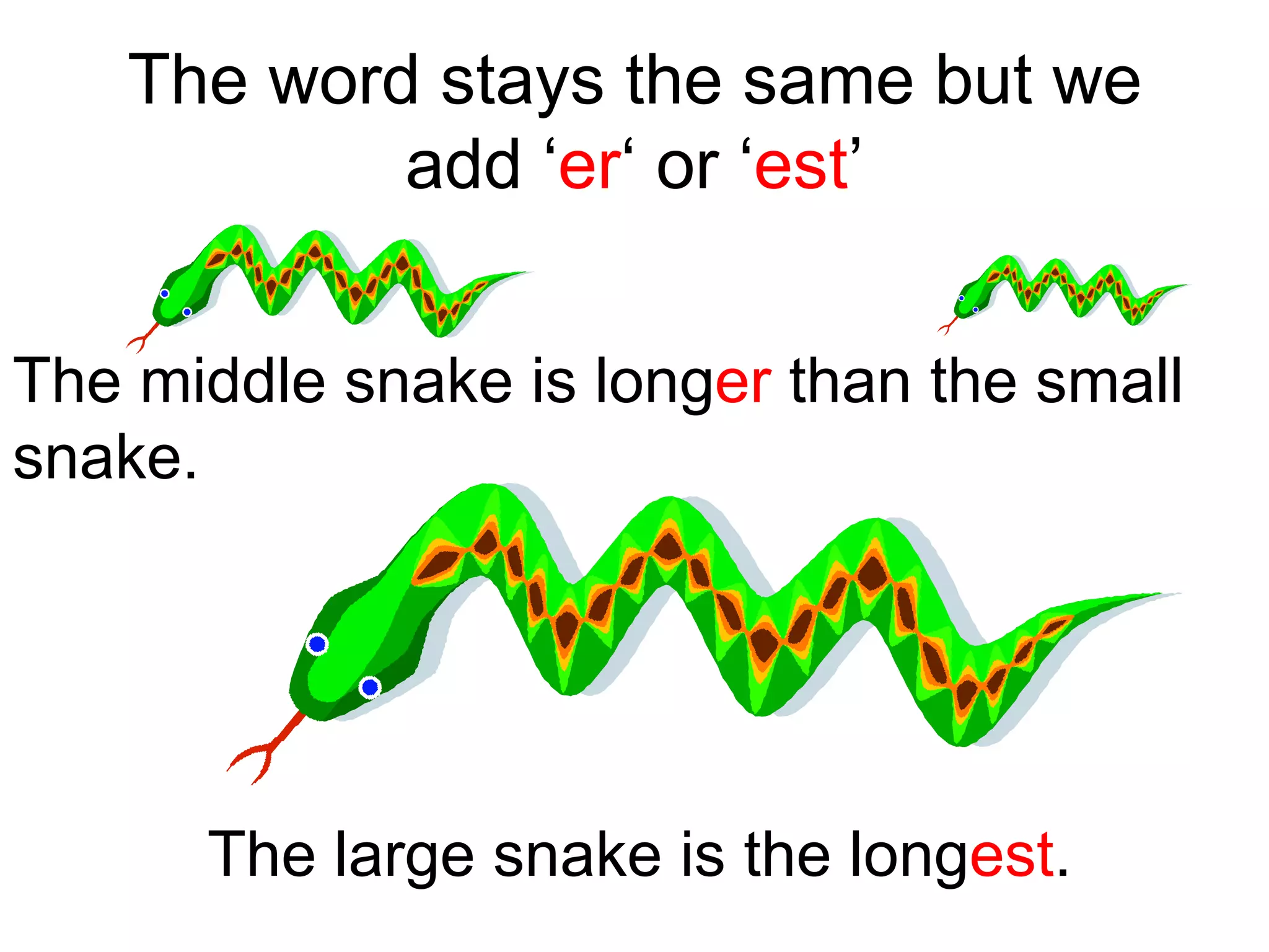 The word stays the same but we add ‘ er ‘ or ‘ est ’ The middle snake is long er than the small snake. The large snake is the long est .