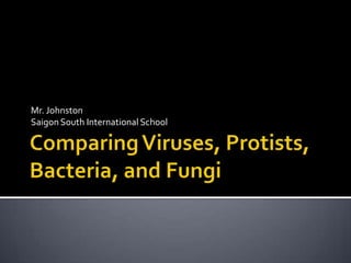 Comparing Viruses, Protists, Bacteria, and Fungi Mr. Johnston Saigon South International School 