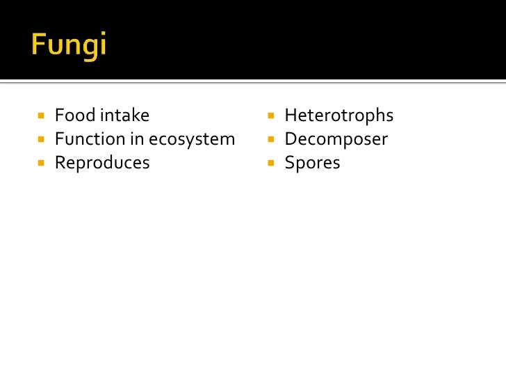 Comparing viruses, protists, bacteria, and