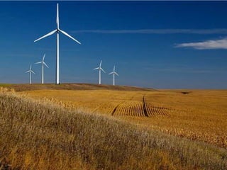 Wind turbines look cooler than solar panels. (I think)