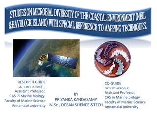 BY
PRIYANKA KANDASAMY
M.Sc., OCEAN SCIENCE &TECH
RESEARCH GUIDE
Mr. K.MOHAN ME.,
Assistant Professor,
CAS in Marine biology
Faculty of Marine Science
Annamalai university
CO-GUIDE
DR.K.SIVAKUMAR
Assistant Professor,
CAS in Marine biology
Faculty of Marine Science
Annamalai university
 