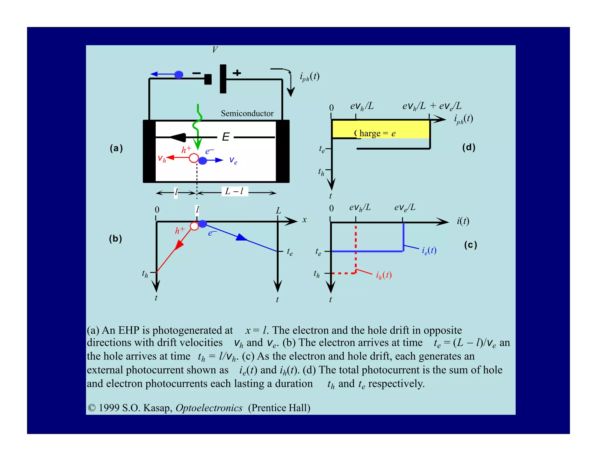 e–
h+
iph(t)
Semiconductor
(a)
V
x
(b)
(a) An EHP is photogenerated at x = l. The electron and the hole drift in opposite
E
l L  l
t
ve
vh
0 L
l
t
e–
h+
th
te
t
te
th
ph
i (t)
i(t)
t
0
0
th
te
evh/L + eve/L
evh /L
ie(t)
ih(t)
(c)
(d)
Charge = e
evh/L eve/L
directions with drift velocities vh and ve. (b) The electron arrives at time te = (L  l)/ve an
the hole arrives at time th = l/vh. (c) As the electron and hole drift, each generates an
external photocurrent shown as ie(t) and ih(t). (d) The total photocurrent is the sum of hole
and electron photocurrents each lasting a duration th and te respectively.
© 1999 S.O. Kasap, Optoelectronics (Prentice Hall)
 