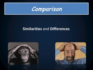 Similarities  and  Differences Comparison 