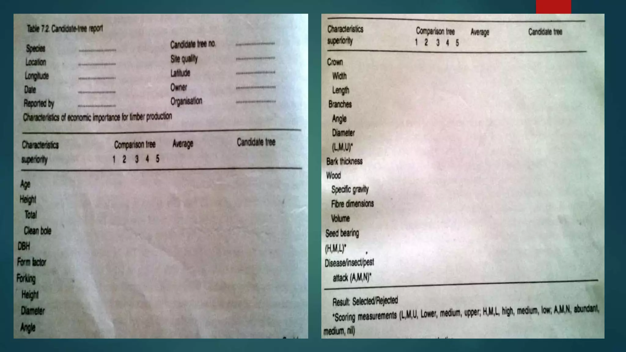 Comparison tree method of selection | PPTX