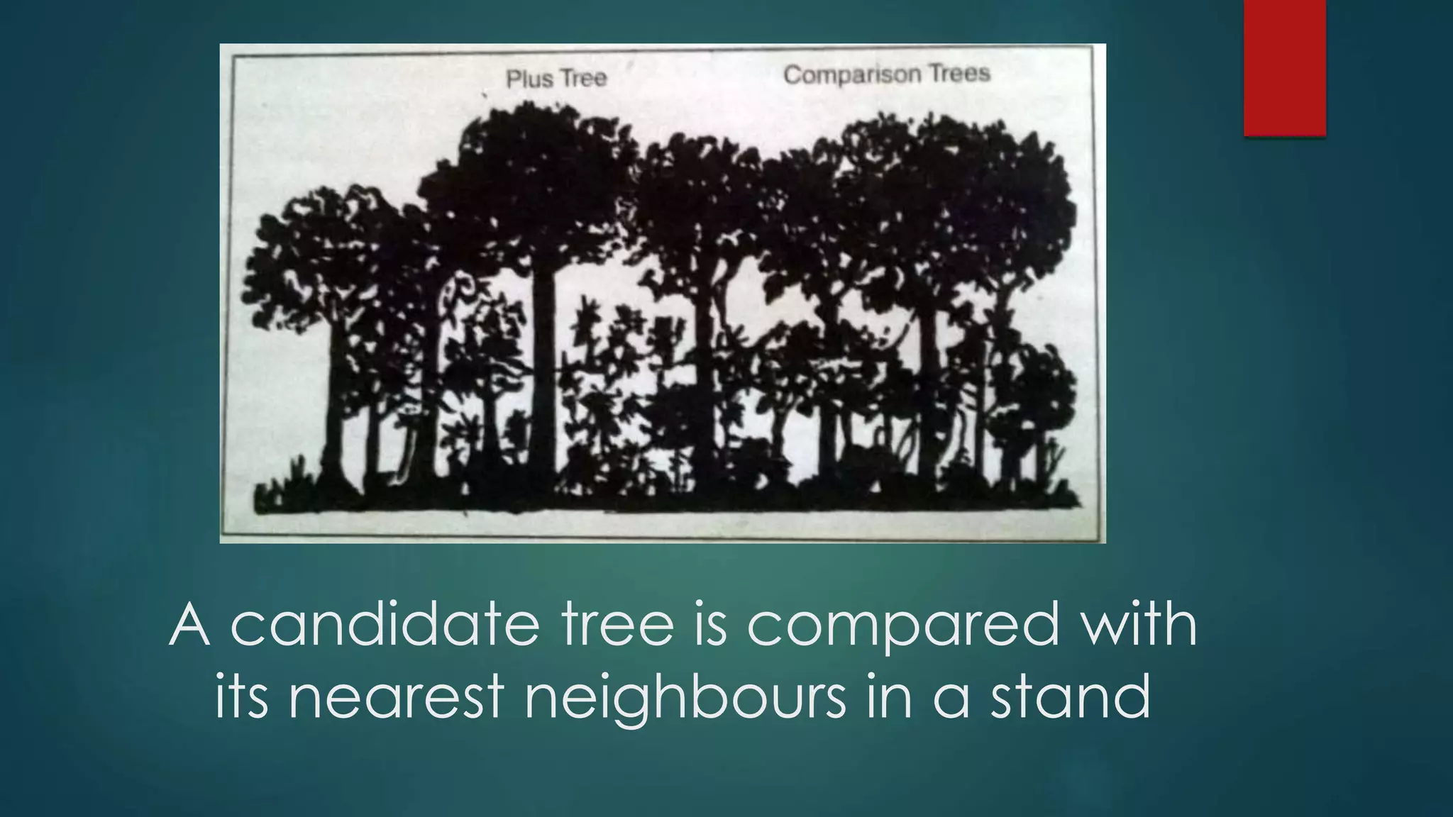 Comparison tree method of selection | PPTX