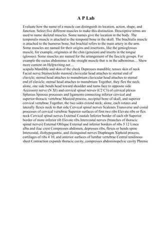 A P Lab
Evaluate how the name of a muscle can distinguish its location, action, shape, and
function. Select five different muscles to make this distinction. Descriptive terms are
used to name skeletal muscles. Some names give the location in the body. The
temporalis muscle is attached to the temporal bone in the skull. The brachialis muscle
is attached to the humerus bone, but brachial refers to the main artery in the arm.
Some muscles are named for their origins and insertions, like the genioglossus
muscle, for example, originates at the chin (geneion) and inserts in the tongue
(glossus). Some muscles are named for the arrangement of the fascicle groups. For
example the rectus abdominus is the straight muscle that is in the adbominus.... Show
more content on Helpwriting.net ...
scapula Mandible and skin of the cheek Depresses mandible; tenses skin of neck
Facial nerve Sternocleido mastoid clavicular head attaches to sternal end of
clavicle; sternal head attaches to manubrium clavicular head attaches to sternal
end of clavicle; sternal head attaches to manubrium Together, they flex the neck;
alone, one side bends head toward shoulder and turns face to opposite side
Accessory nerve (N XI) and cervical spinal nerves (C2 C3) of cervical plexus
Splenius Spinous processes and ligaments connecting inferior cervical and
superior thoracic vertebrae Mastoid process, occipital bone of skull, and superior
cervical vertebrae Together, the two sides extend neck; alone, each rotates and
laterally flexes neck to that side Cervical spinal nerves Scalenes Transverse and costal
processes of cervical vertebrae Superior surfaces of first two ribs Elevate ribs or flex
neck Cervical spinal nerves External Coastals Inferior border of each rib Superior
border of more inferior rib Elevate ribs Intercostal nerves (branches of thoracic
spinal nerves) External Oblique External and inferior borders of ribs 5 12 Linea
alba and iliac crest Compresses abdomen, depresses ribs, flexes or bends spine
Intercostal, iliohypogastric, and ilioinguinal nerves Diaphragm Xiphoid process,
cartilages of ribs 4 10, and anterior surfaces of lumbar vertebrae Central tendinous
sheet Contraction expands thoracic cavity, compresses abdominopelvic cavity Phrenic
 