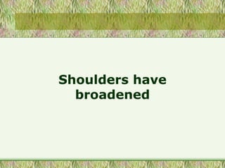 Shoulders have
broadened
 