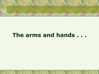 The arms and hands . . .
 