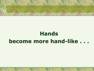Hands
become more hand-like . . .
 