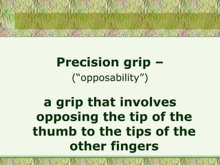 Precision grip –
(“opposability”)
a grip that involves
opposing the tip of the
thumb to the tips of the
other fingers
 