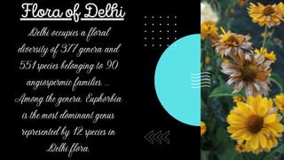 Comparison between delhi and sikkim