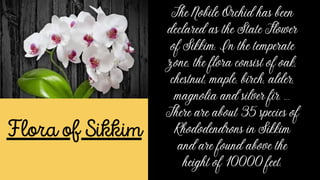 Comparison between delhi and sikkim