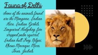 Comparison between delhi and sikkim