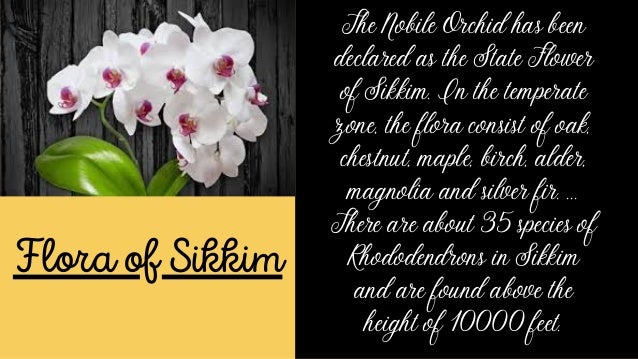 Comparison Between Delhi And Sikkim