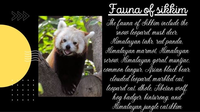 Comparison Between Delhi And Sikkim