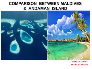 COMPARISON BETWEEN MALDIVES
& ANDAMAN ISLAND
PRESENTED BY
AFSANA LASKAR
 